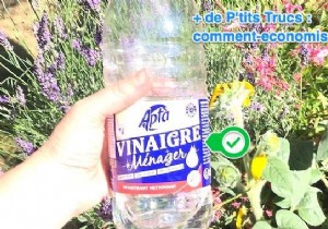6 Proven White Vinegar Hacks: Save €184.80 a Year on Cleaning and Home Care