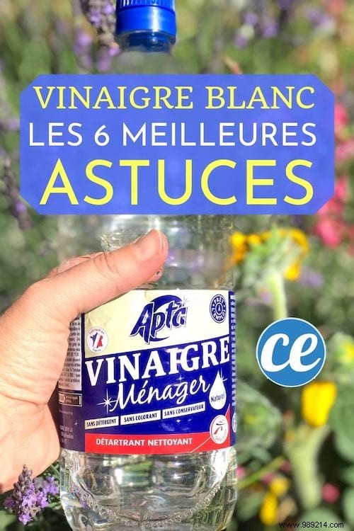 6 Proven White Vinegar Hacks: Save €184.80 a Year on Cleaning and Home Care