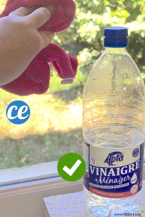 6 Proven White Vinegar Hacks: Save €184.80 a Year on Cleaning and Home Care