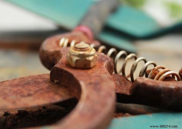 Prevent and Remove Rust from Knives and Tools Using Olive Oil: A Proven Home Solution