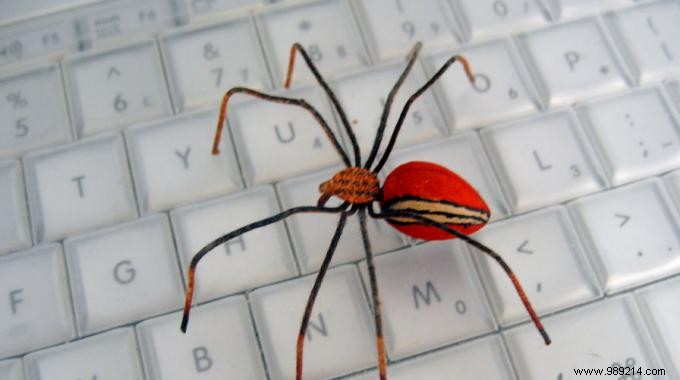 3 Proven Natural Ways to Repel Spiders from Your Home