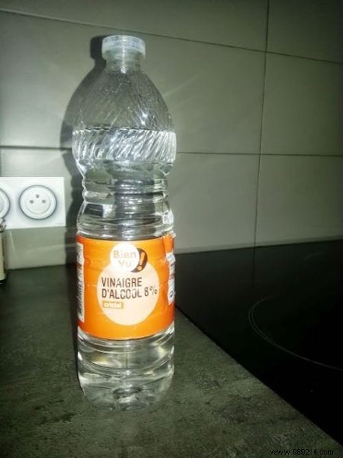 3 Proven Natural Ways to Repel Spiders from Your Home