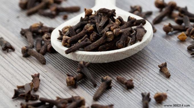 Repel Moths Naturally: Proven Cloves and Lemon Remedies for Your Wardrobe