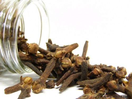 Repel Moths Naturally: Proven Cloves and Lemon Remedies for Your Wardrobe