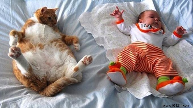 DIY Baby Hammock: Simple, Portable Nap Hack Using Just a Sheet