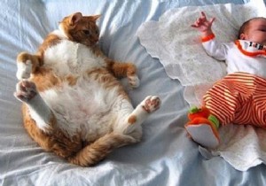 DIY Baby Hammock: Simple, Portable Nap Hack Using Just a Sheet