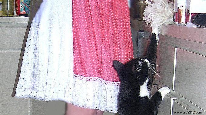 Clean Hard-to-Reach Ceiling Corners Without a Ladder: Proven DIY Hack