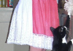 Clean Hard-to-Reach Ceiling Corners Without a Ladder: Proven DIY Hack