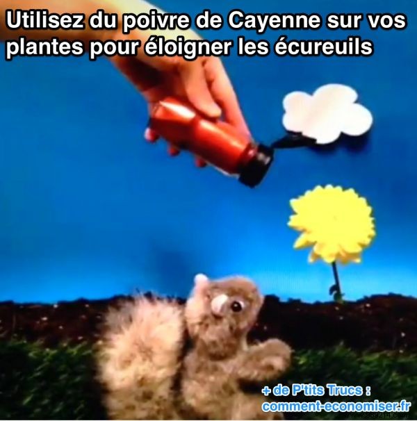 Proven Cayenne Pepper Trick to Deter Squirrels from Your Garden Plants