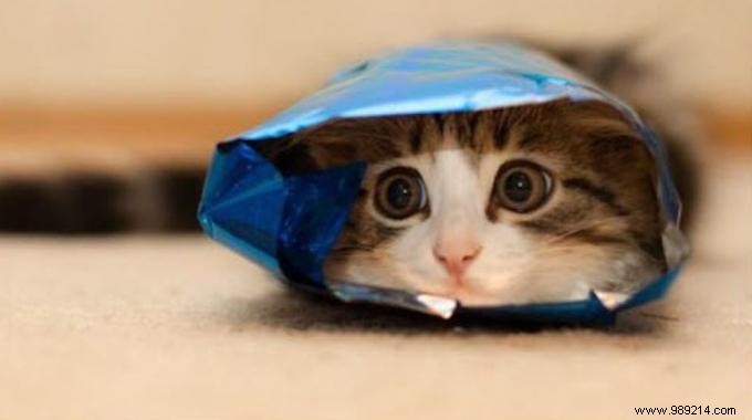 The Ingenious Hack to Reseal Your Crisps Packet Using Clip Hangers