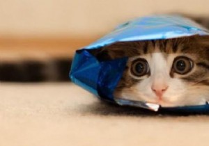 The Ingenious Hack to Reseal Your Crisps Packet Using Clip Hangers