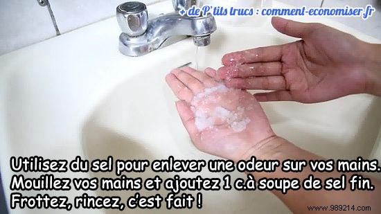 Proven Salt Trick to Banish Stubborn Onion, Garlic, and Shallot Odors from Hands