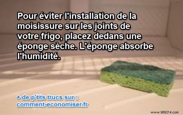 Grandma s Proven Trick to Prevent Mold in Your Fridge – Simple and Effective