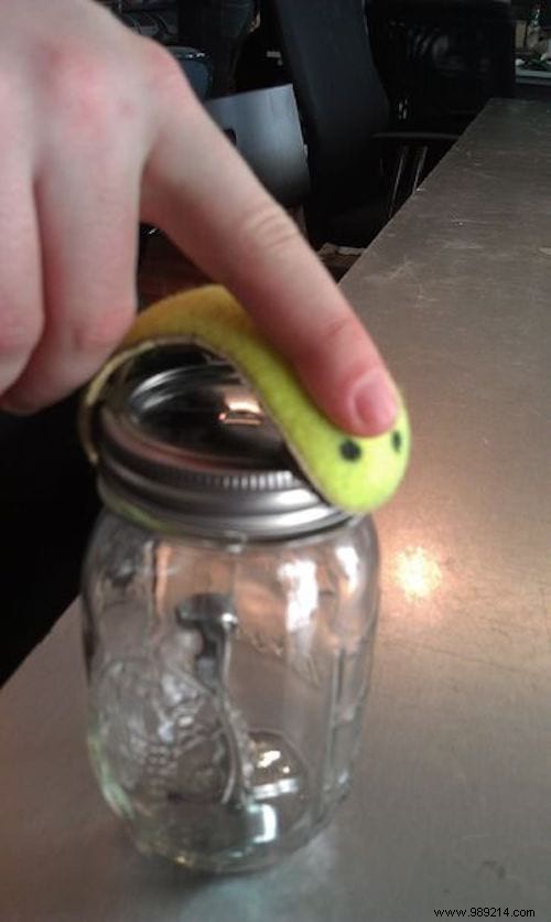 10 Clever Ways to Repurpose Tennis Balls for Everyday Home Hacks