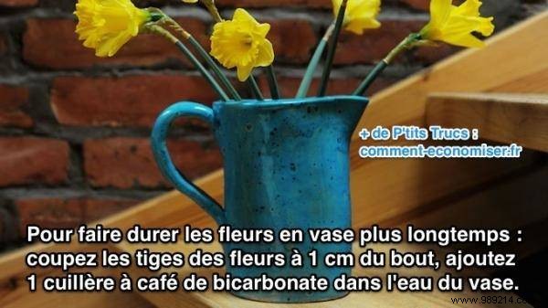 Simple Baking Soda Trick to Make Cut Flowers Last Longer in a Vase