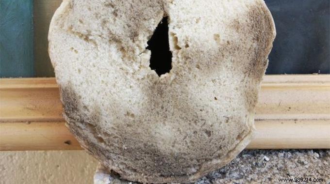 Restore Your Dusty Oil Painting: Clean It Gently with a Bagel