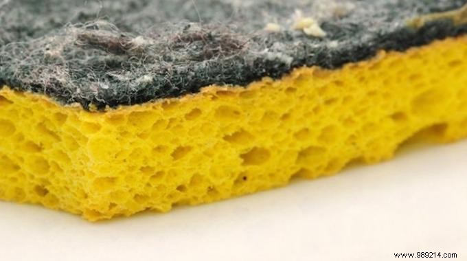 How to Sanitize Your Kitchen Sponge in the Microwave: Kill Bacteria in Just 1 Minute