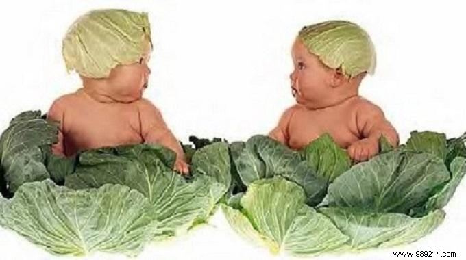 3 Proven Tips for Perfectly Cooking Cauliflower Every Time