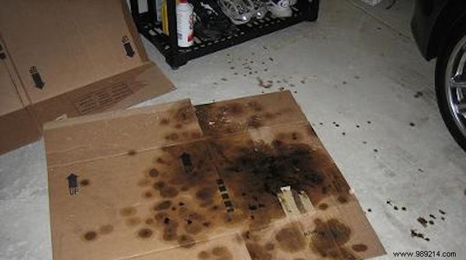 Eliminate Gasoline Odors in Your Garage: The Proven Baking Soda Trick