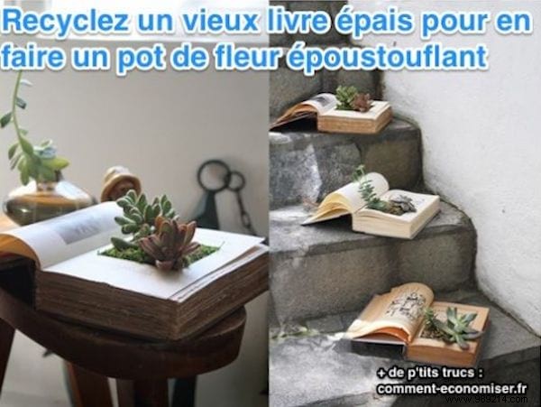 Transform an Old Book into a Unique DIY Succulent Planter