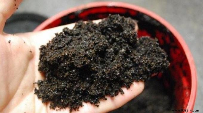 10 Proven Ways to Reuse Coffee Grounds: Transform Waste into Household Heroes