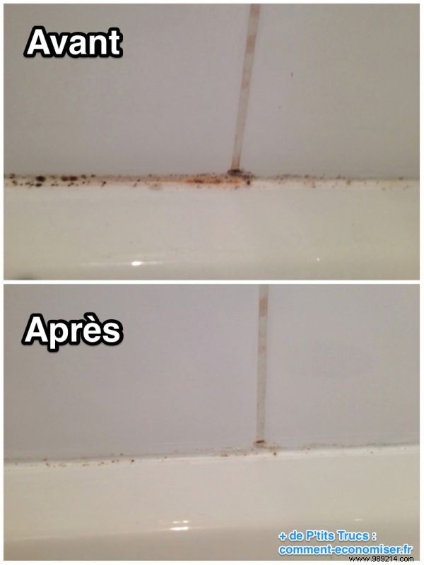 Proven Bleach Method to Remove Mold from Tile Grout Overnight