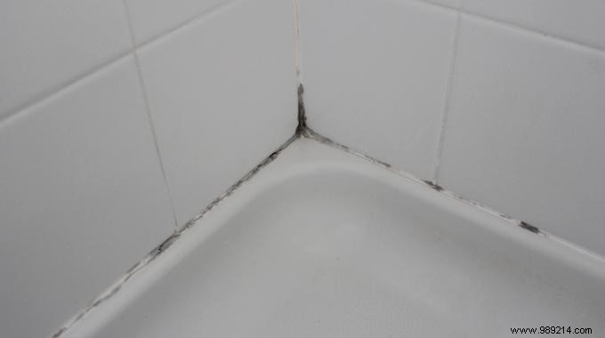 Proven Bleach Method to Remove Mold from Tile Grout Overnight