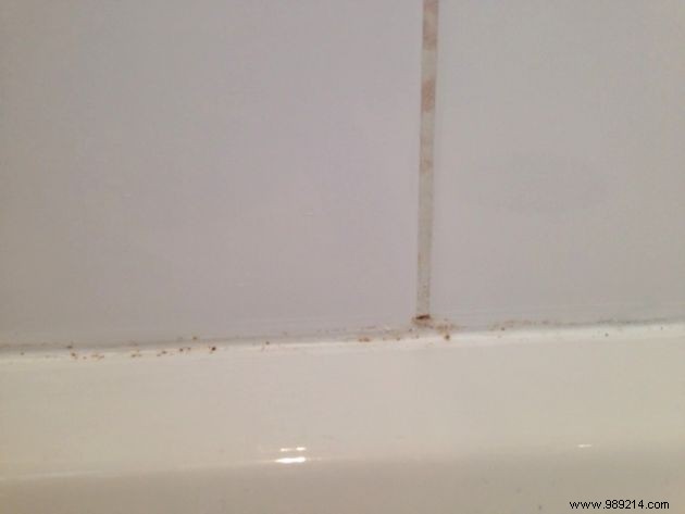 Proven Bleach Method to Remove Mold from Tile Grout Overnight