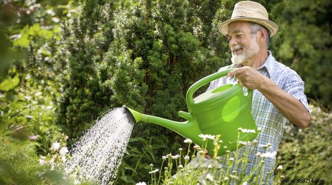 How to Water Plants Gently with a Garden Hose: Pro Gardener s Bottle Trick