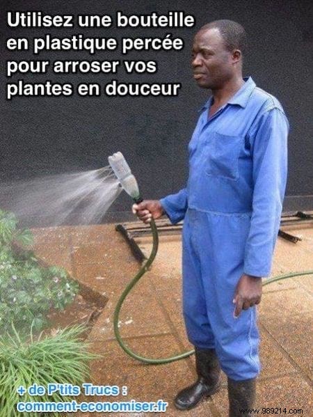 How to Water Plants Gently with a Garden Hose: Pro Gardener s Bottle Trick