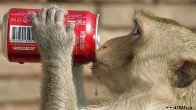 15 Proven Coca-Cola Hacks for Cleaning and Home Maintenance