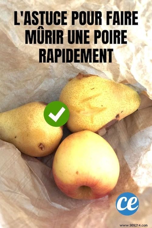 How to Ripen Pears Faster: 2 Simple, Proven Tricks