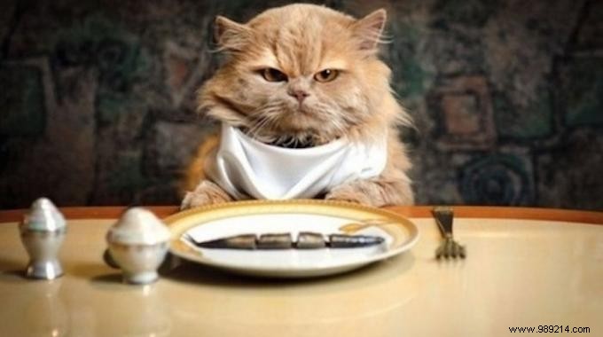 How to Remove Water Stains from Wooden Furniture Using Mayonnaise: A Proven Home Remedy