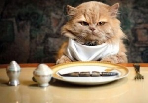 How to Remove Water Stains from Wooden Furniture Using Mayonnaise: A Proven Home Remedy