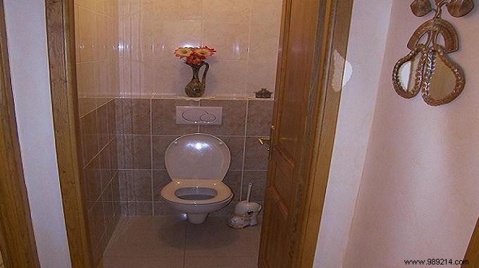 How to Unclog a Toilet Without a Plumber: Proven DIY Methods
