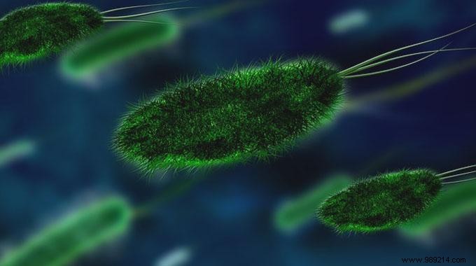 The 10 Dirtiest Everyday Items: Surprising Germ Facts from Hygiene Studies