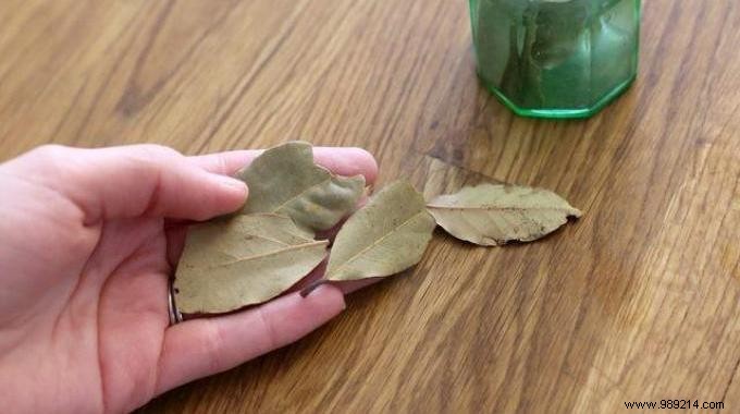 Banish Pantry Moths Naturally: Proven Bay Leaf and Lemon Oil Repellents