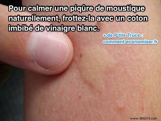 Soothe Itchy Mosquito Bites Naturally with White Vinegar: A Proven Home Remedy