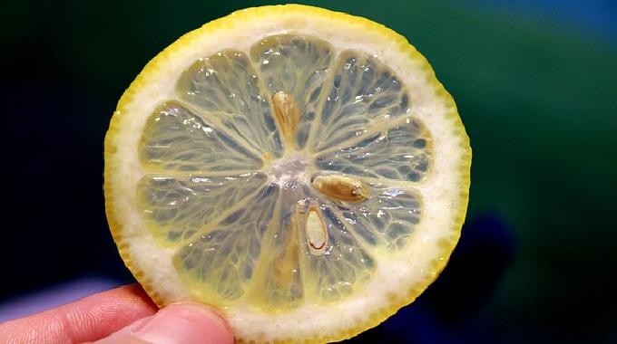 3 Proven Lemon Hacks for Natural Home Disinfection and Air Purification