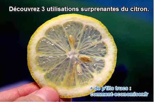 3 Proven Lemon Hacks for Natural Home Disinfection and Air Purification