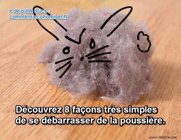 8 Proven Tips to Eliminate Dust and Dust Mites from Your Home