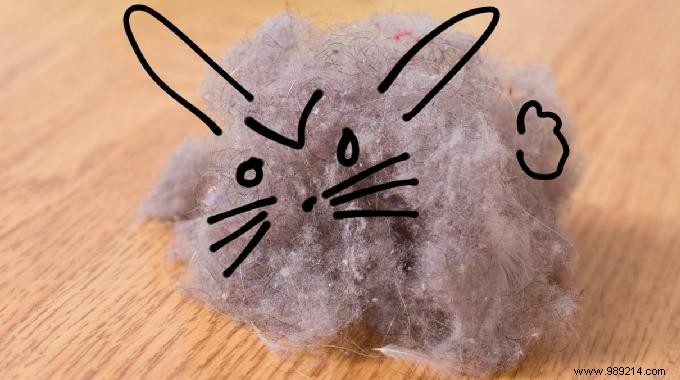 8 Proven Tips to Eliminate Dust and Dust Mites from Your Home