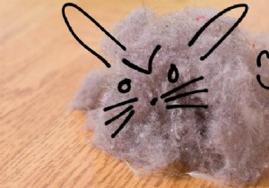 8 Proven Tips to Eliminate Dust and Dust Mites from Your Home