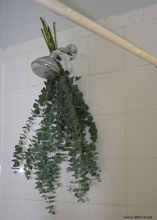 41 Proven Home Hacks to Simplify and Organize Your Everyday Life