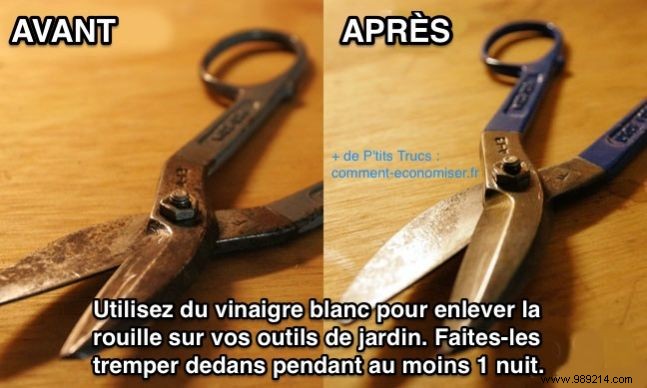 Remove Rust from Tools Overnight with White Vinegar: A Proven DIY Hack