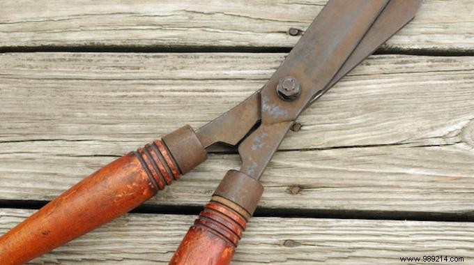 Remove Rust from Tools Overnight with White Vinegar: A Proven DIY Hack