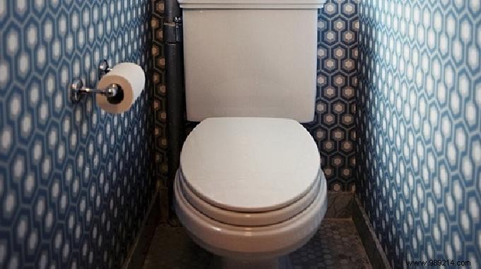 Disinfect Your Toilet Naturally: Simple White Vinegar Method Without Bleach