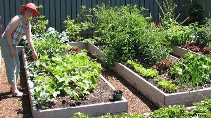 5 Proven Secrets to Effortless Gardening: Bigger Harvests with Minimal Effort