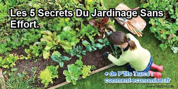 5 Proven Secrets to Effortless Gardening: Bigger Harvests with Minimal Effort