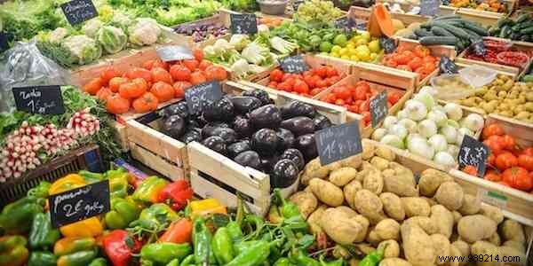 10 Proven Tips to Reduce Your Carbon Footprint Starting Today